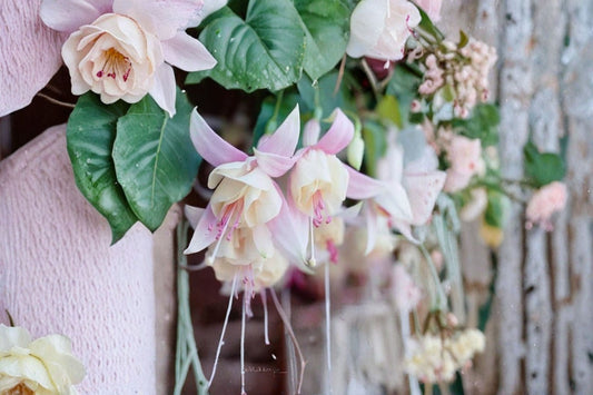 Annabelle White Fuchsia Live Plant – 5" Pot – Flowering Ornamental Plant