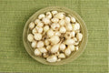 White Ebenezer 8 oz Bulbs – Non-GMO Allium cepa Onion Sets