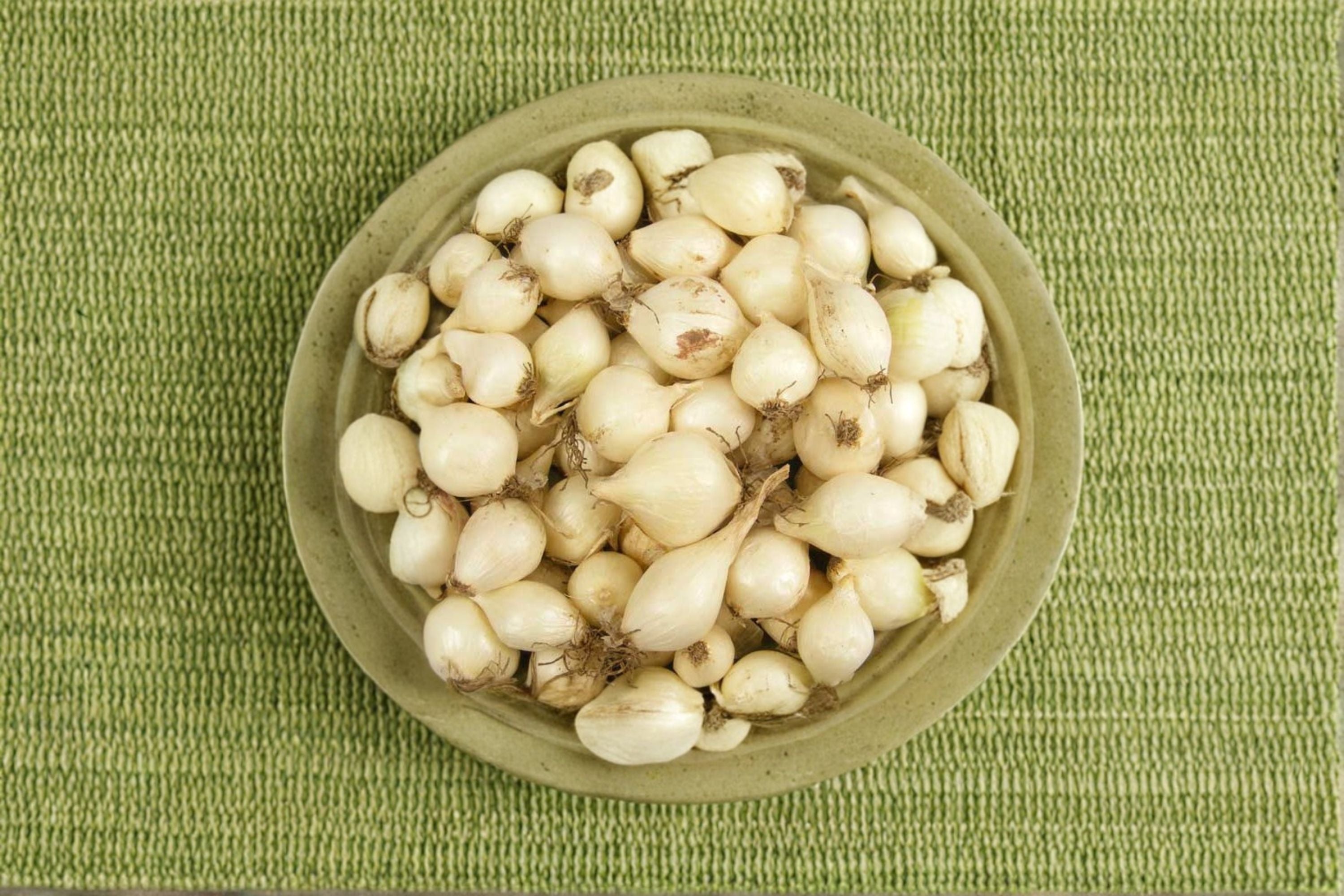 White Ebenezer 8 oz Bulbs – Non-GMO Allium cepa Onion Sets