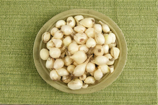 White Ebenezer 8 oz Bulbs – Non-GMO Allium cepa Onion Sets