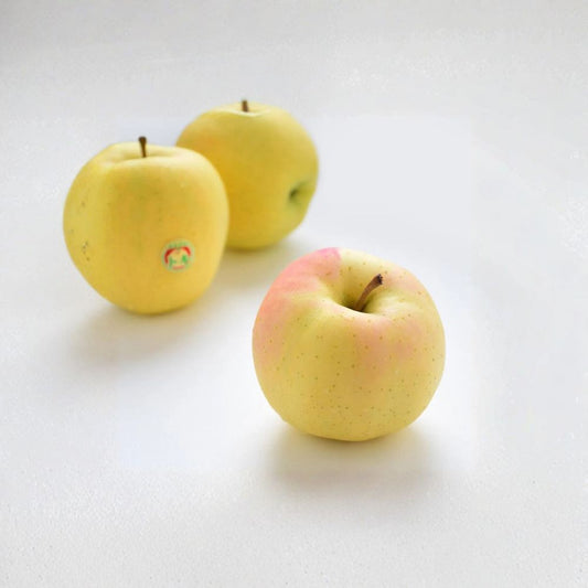 Japanese Aomori Toki Apple Tree – Malus domestica Live Bare Root Tree | 32 Inches Tall | Sweet Peachy Apple Variety | 青森水蜜桃蘋果 土岐 拓季