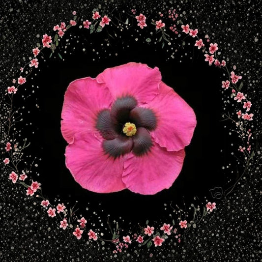 Hibiscus ‘Creole Darlin’ – Cajun Color Live Plant | 4 Inch Pot With Soil | Tropical Flowering Hibiscus | Vibrant Blooms | Patio & Garden Plant | Hummingbird Favorite