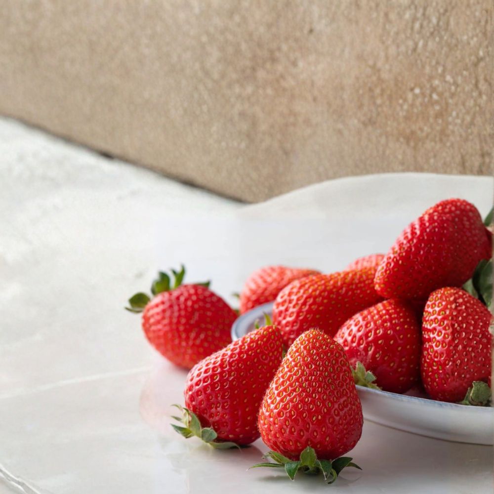 5 Kaorino Japanese Strawberry Plants – Fragaria × ananassa Bare Root Plants | Premium Sweet Aromatic Strawberry Variety | かおり野 イチゴ 香野草莓 隋珠