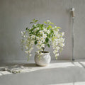 Weeping Jasmine Seeds – 100+ Climbing Vine Seeds | Fragrant Flowering Plant | Balcony & Garden Friendly