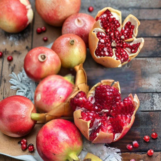 Tunisian Soft-Seed Pomegranate Plant – Punica granatum Live Fruit Plant | Includes Nursery Pot Sweet Nearly Seedless Variety | Juicy Red Pomegranate | 突尼斯软籽石榴苗