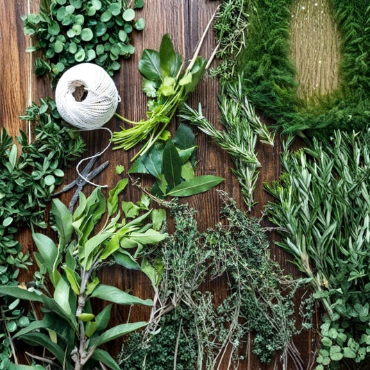 3 Live Random Herb Plants – Mixed Culinary Herb Collection | 3–6 Inch Starters | Edible Herb Garden | Aromatic Kitchen Herbs | Ships Without Pot