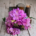 Rhododendron ‘Florence Parks’ – Evergreen Rhododendron | Purple Spring Blooms | 12–15 Inch Field Grown Plant | Hardy Shrub Zones 4–8