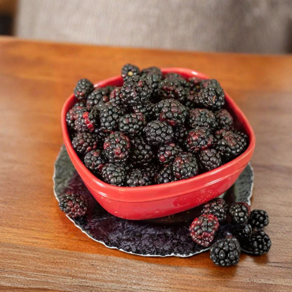 Navaho Thornless Blackberry Live Plants – Set of 4 | Rooted Blackberry Plants | 4–6 Inch Starter Plants | No Pot | Edible Berry Shrub