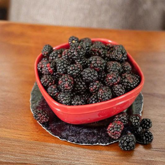 Navaho Thornless Blackberry Live Plants – Set of 4 | Rooted Blackberry Plants | 4–6 Inch Starter Plants | No Pot | Edible Berry Shrub