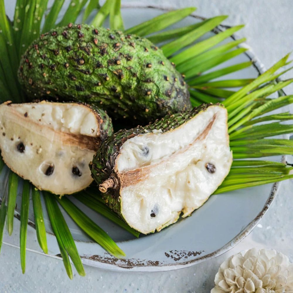 Soursop Live Plant | Guanabana Tree | 6–10 Inches Tall | Includes Nursery Pot | Tropical Fruit Starter | Easy to Grow