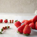 5 Kaorino Japanese Strawberry Plants – Fragaria × ananassa Bare Root Plants | Premium Sweet Aromatic Strawberry Variety | かおり野 イチゴ 香野草莓 隋珠