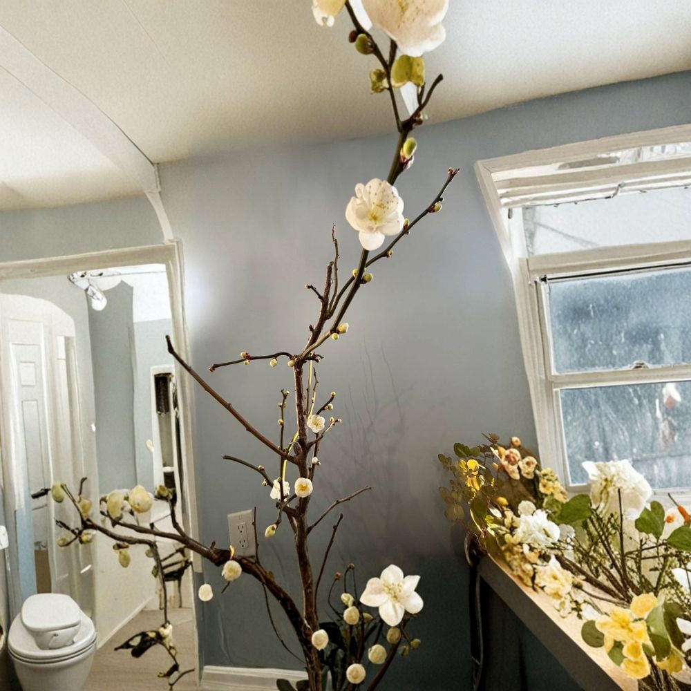 Ryūyū-bai Japanese Apricot – Live Pre Bonsai Sapling | Twisted Dragon Branch Plum Tree | Bare Root With Heart Soil | Winter Blooming White Flowers