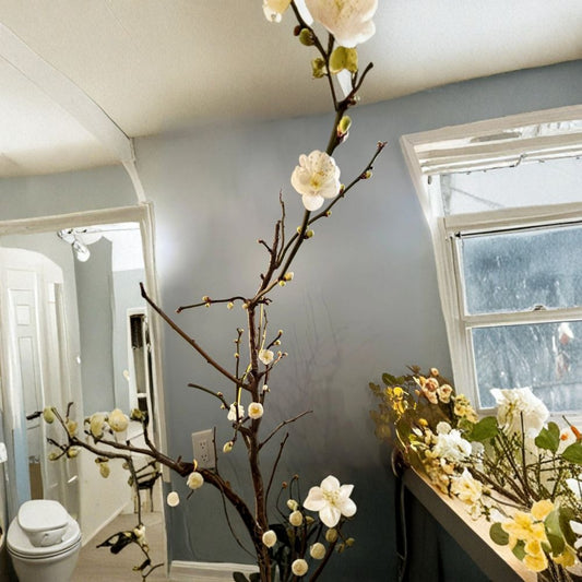 Ryūyū-bai Japanese Apricot – Live Pre Bonsai Sapling | Twisted Dragon Branch Plum Tree | Bare Root With Heart Soil | Winter Blooming White Flowers