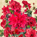Azalea ‘Hino Sunrise’ – Semi Evergreen Azalea | Bright Orange Spring Blooms | #1 Container Plant | Compact Hardy Shrub