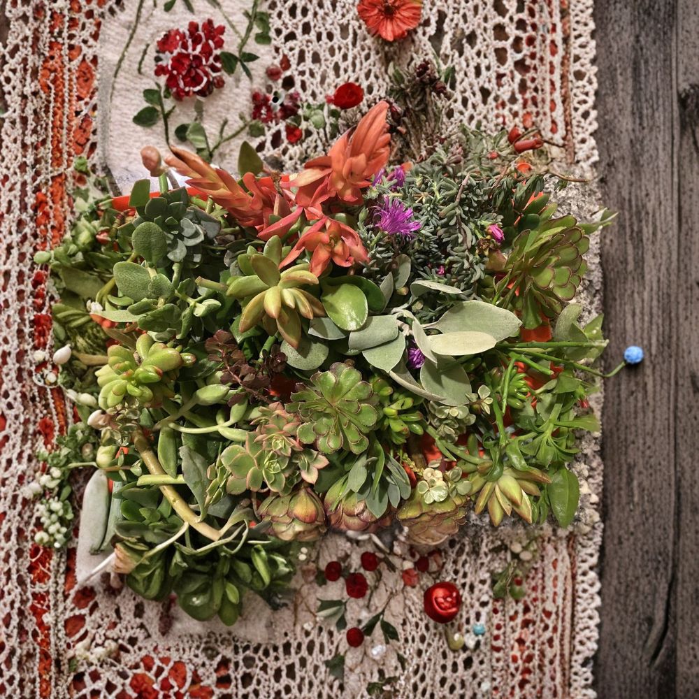 Assorted Organic Succulent Cuttings – 22 Live Cuttings | Includes 2 Free Bonus Cuttings | Easy to Propagate | Indoor & Outdoor Plants