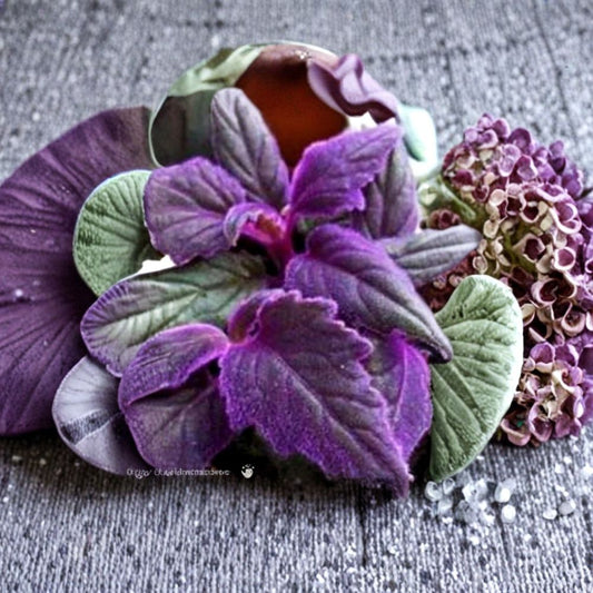 Purple Passion Plant – Gynura aurantiaca Live Starter Plants | 2 Live Plants | Velvet Purple Foliage | Rooted Houseplants | Easy to Grow
