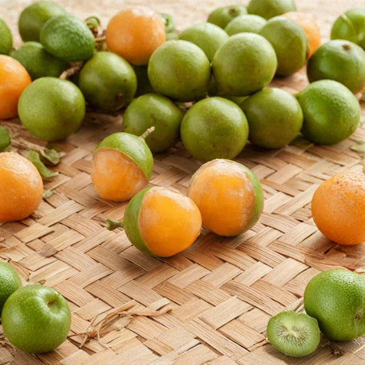 Spanish Lime Tree Live Plant – Melicoccus bijugatus | Tropical Fruit Tree | USDA Inspected & Certified | Full Sun | No California Shipping