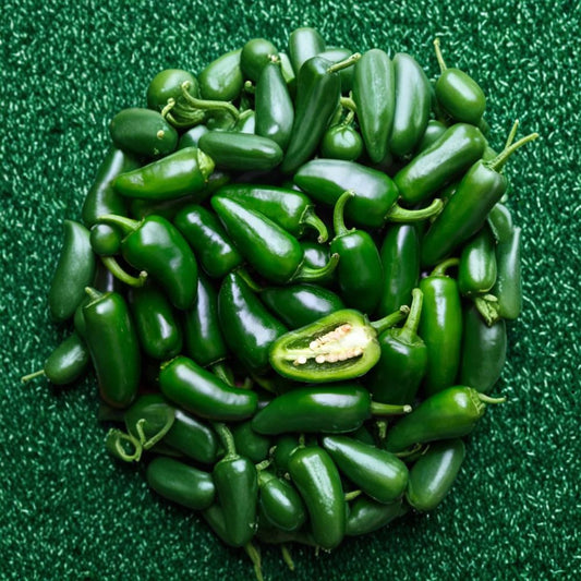2 Live Jalapeño Pepper Plants – 4” Pot-Grown | Hot Pepper Plants | Fresh Garden Vegetable | Ships Without Pots