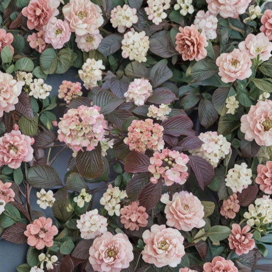 Mary Milton Viburnum Live Plant – 1 Gallon Pot | Japanese Snowball Viburnum | White to Pink Flowers | Fragrant Ornamental Shrub | Zones 5–8