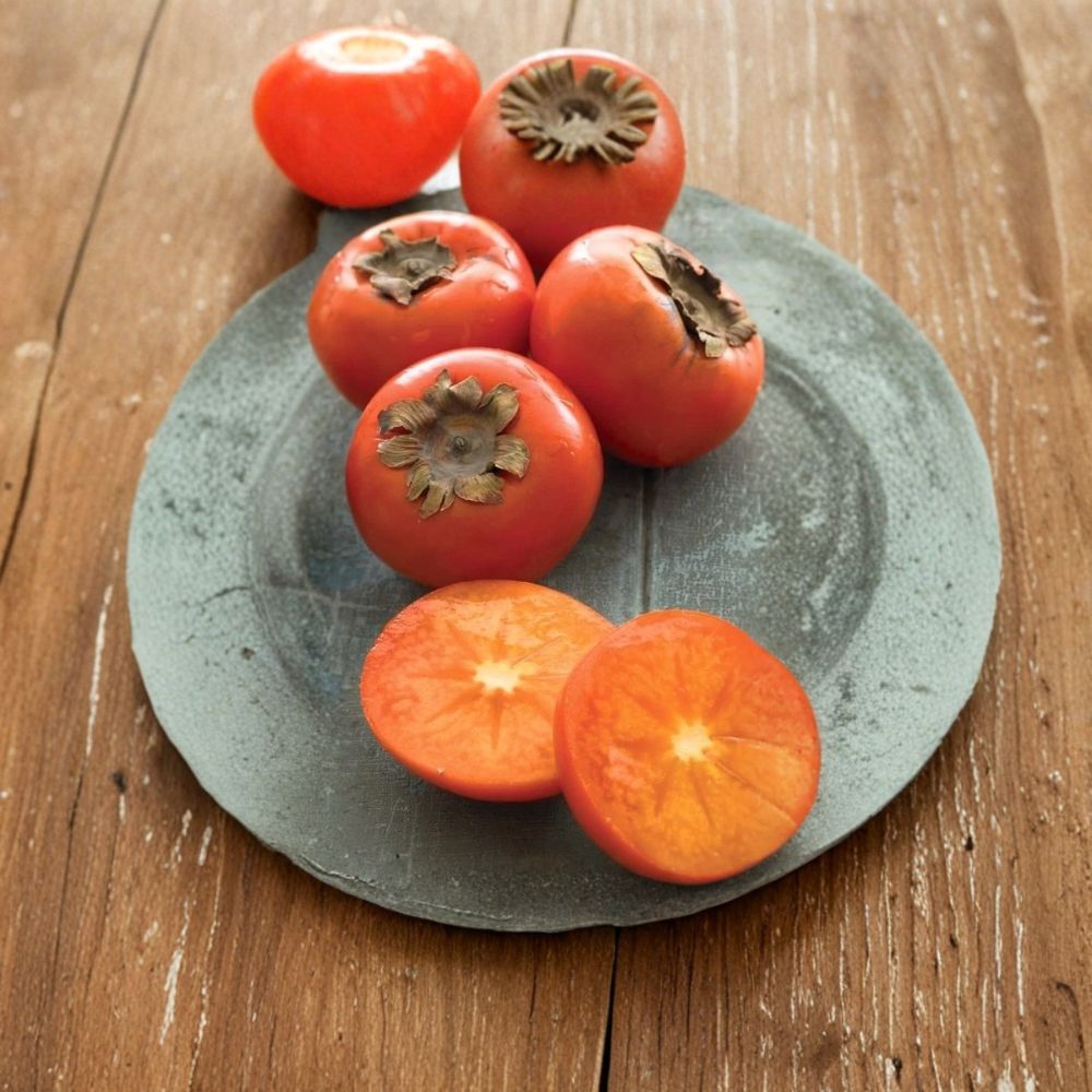American Persimmon Tree – Diospyros virginiana Live Plant | 2–3+ Feet Tall | Native Fruit Tree | Bare Root | USDA Zones 5–9