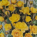 Climbing Golden Shower Rose – Daffodil Yellow Live Bush Plant | 1 Gallon Size | Includes Root Ball Wrapping | Everblooming Climbing Rose | Trellis & Arbor Friendly