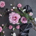 Angel Face Floribunda Rose – Live Mauve Lavender Rose Bush | 2 Gallon Plant | Fragrant Floribunda Rose | Full Sun Garden Shrub | Repeat Blooming Rose