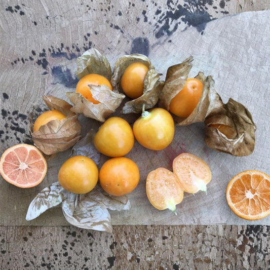 Peruvian Groundcherry – Physalis peruviana Seeds | 50 Organically Grown Seeds | Cape Gooseberry Goldenberry Variety | Garden & Container Friendly | Easy to Grow