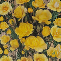 Climbing Golden Showers Rose – Live Bush Plant | 2 Gallon Size | Includes Rooted Climbing Rose Ready for Planting | Trellis & Garden Friendly | Easy to Grow