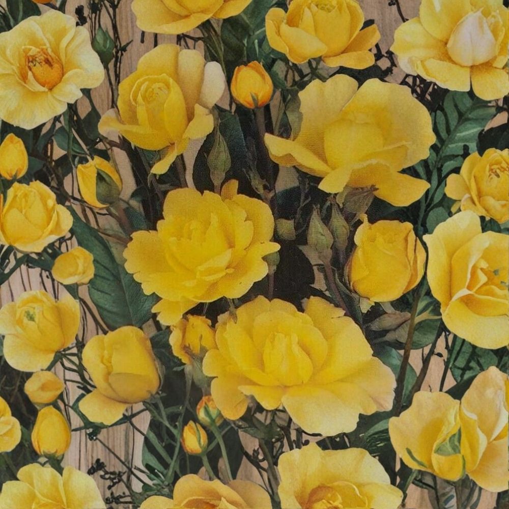 Climbing Golden Showers Rose – Live Bush Plant | 2 Gallon Size | Includes Rooted Climbing Rose Ready for Planting | Trellis & Garden Friendly | Easy to Grow