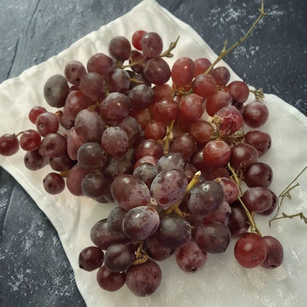 Red Globe Grape Vine – Vitis vinifera Live Plant | 1 Gallon Size | "Do It All" Fruit Vine | Includes Root Ball | Vineyard & Garden Friendly | Easy to Grow