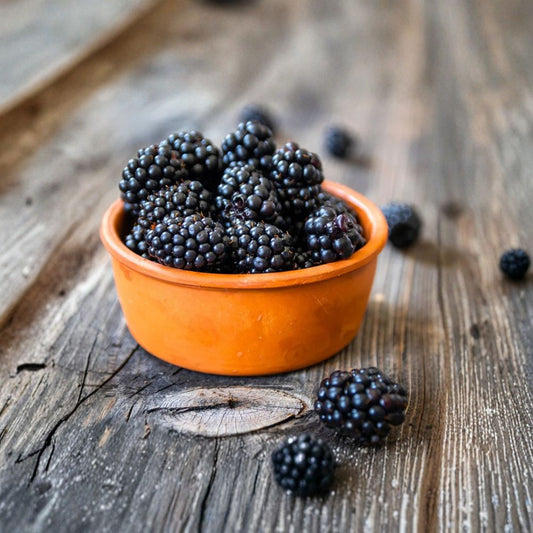 2 Live Navaho Thornless Blackberry Plants – 4–6 Inches Tall | Rooted Bare Root Plants | No Pot | Upright Fruit Shrub | Sweet Berries