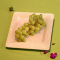 Chardonnay White Wine Grape Vine – Live Plant | 3 Gallon Size | Includes Rooted Grapevine Ready for Planting | Vineyard & Backyard Friendly | Easy to Grow
