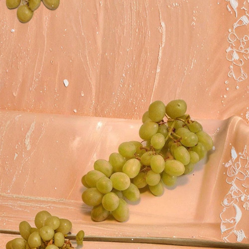 Chardonnay White Wine Grape Vine – Vitis vinifera Live Plant | 3 Gallon Size | Self-Fertile Wine Grape | Premium White Wine Variety | Easy to Grow