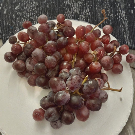 Red Globe Grape Vine – Vitis vinifera Live Plant | 1 Gallon Size | Self-Fertile Fruit Vine | "Do It All" Grape Variety | Easy to Grow