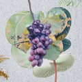 Champanel Grape Vine – Vitis spp. Live Plant | 2 Gallon Size | Sweet Red & Black Grapes | Includes Root Ball | Vineyard & Garden Friendly | Easy to Grow