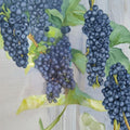 MARS Seedless Grape Vine – Live Plant | 3 Gallon Size | Includes Rooted Grapevine Ready for Planting | Vineyard & Backyard Friendly | Easy to Grow