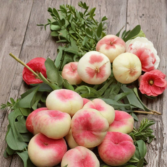 Galaxy Donut Peach Tree – Prunus persica Live Plant | 3 Ft Bare Root Peento Peach | Sweet White Flesh Fruit Tree | Flat Saucer Peach