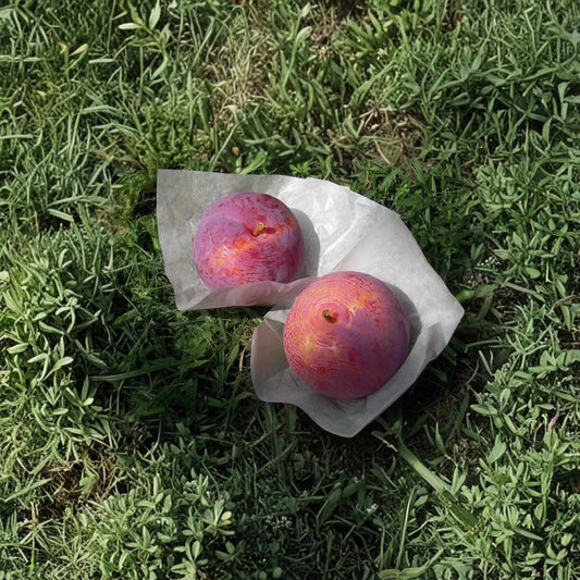 Kiyo Japanese Plum Tree – Prunus salicina Live Plant | 3 Ft Potted Premium Large Fruit Plum | Sweet Red Flesh Plum | 貴陽 (きよう)