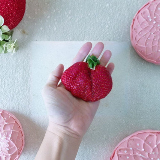 Whopper Strawberry Roots – 5 Live June Bearing Plants | Large Organic Strawberries | Self-Pollinating Berry Plants | Zones 5–10