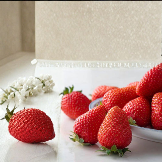 Kaorino Strawberry Plants – Fragaria × ananassa Live Bare Root | 5 Pack Japanese Premium Strawberries | Sweet Aromatic Fruit | かおり野