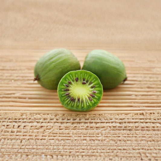 Issai Hardy Kiwi – Live Rooted Plant | Self-Pollinating Kiwi Vine | Fuzzless Edible Fruit | Zones 3–8