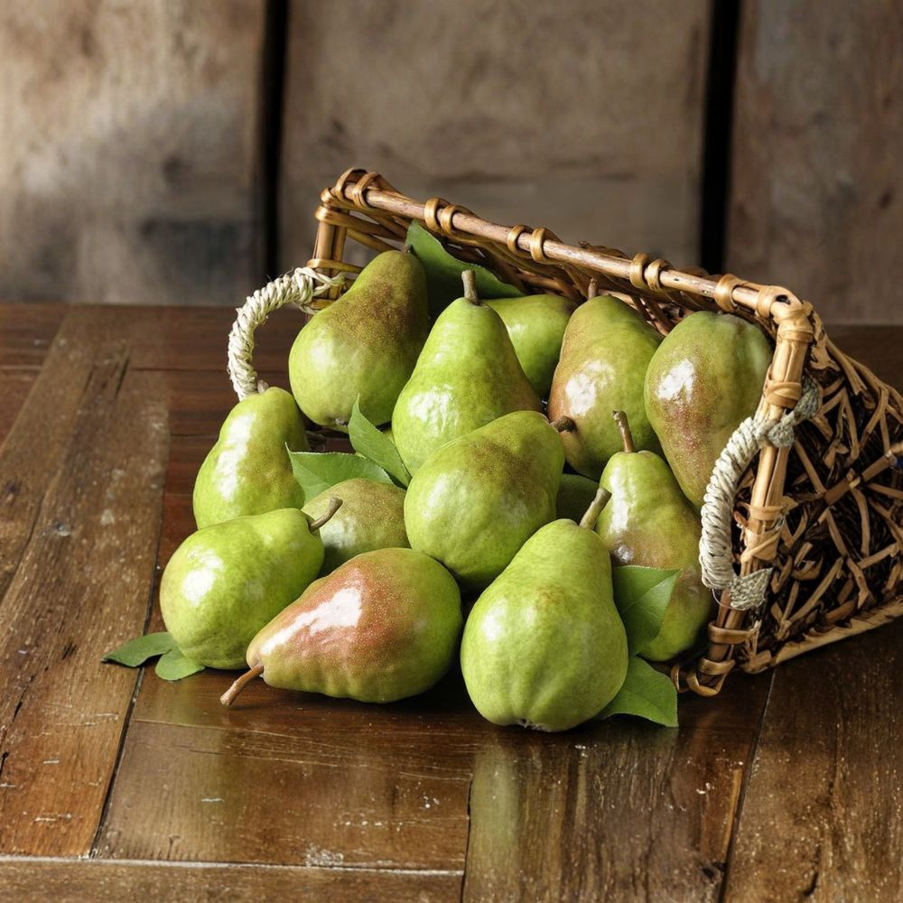 Bartlett Pear Tree – Pyrus communis ‘Bartlett’ Bare Root | 32–36 Inches Tall | Pyrus betulifolia Rootstock | Sweet Juicy Fruit Tree Starter | Patio & Backyard Friendly