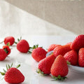 Kaorino Strawberry Plants – Fragaria × ananassa Live Bare Root | 5 Pack Japanese Premium Sweet Strawberries | Aromatic Fruit | かおり野 香野草莓