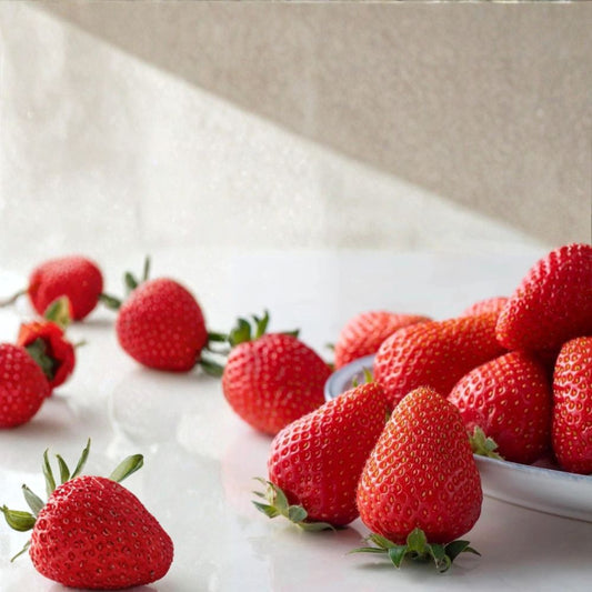 Kaorino Strawberry Plants – Fragaria × ananassa Live Bare Root | 5 Pack Japanese Premium Sweet Strawberries | Aromatic Fruit | かおり野 香野草莓