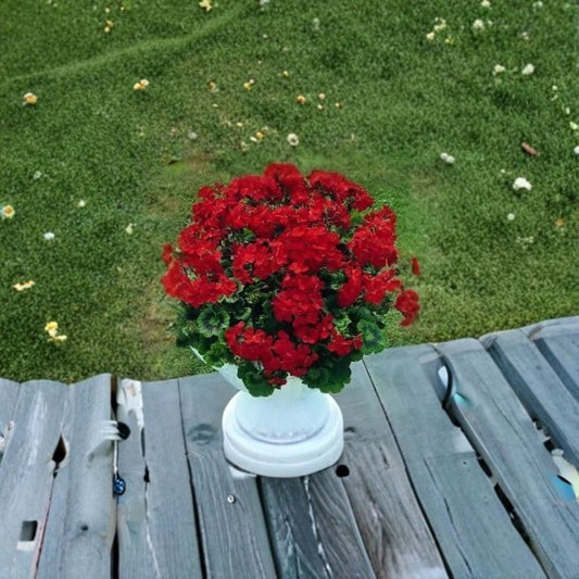 Geranium Breakaway Red – Pelargonium Seeds | 100 Seeds | Brilliant Scarlet Blooms | Heat Tolerant Garden Variety | Pot & Landscape Friendly | Easy to Grow