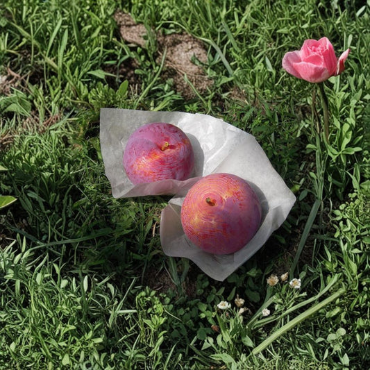 Kiyo Japanese Plum Tree – Prunus salicina Live Plant | 3 Ft Potted Premium Large Fruit Plum | Sweet Red Plum Tree | 貴陽 (きよう)