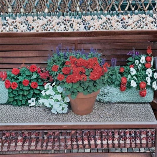 Geranium Landscaper Red – Pelargonium x hortorum Seeds | 100 Seeds | Brilliant Scarlet Red Blooms | Compact Garden Favorite | Patio & Landscape Friendly | Easy to Grow