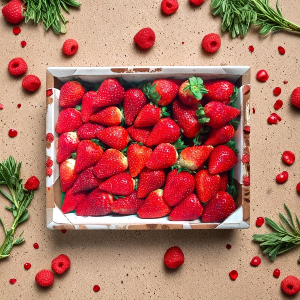 Eclair Strawberry Roots – 5 Live Growing Strawberry Plants | Sweet Juicy Berry Variety | Self-Pollinating | Zones 5–10