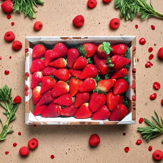 Eclair Strawberry Roots – 5 Live Growing Strawberry Plants | Sweet Juicy Berry Variety | Self-Pollinating | Zones 5–10