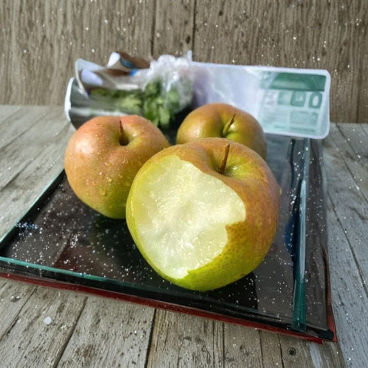 Yulu Fragrant Pear Tree – Pyrus spp. Bare Root | 32–36 Inches Tall | Asian Pear Hybrid | Pyrus betulifolia Rootstock | Sweet Crisp Fruit Tree
